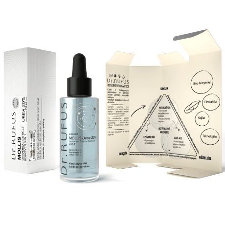 Моліс+Коробка+розгортка